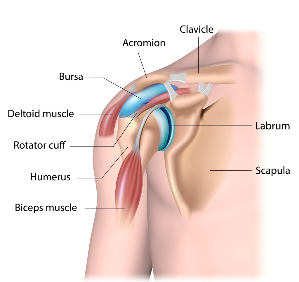 Labral Tear Treatment Plainfield IL & Morris IL